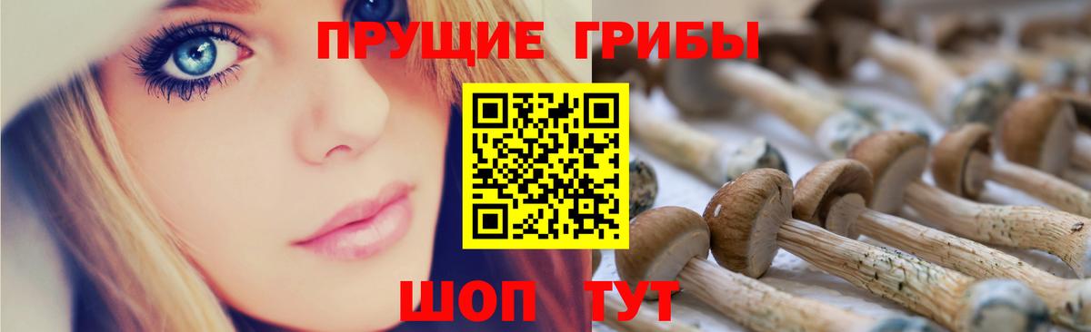 Южно-Сахалинск  где можно купить наркотик  Вход с VPN  Псилоцибиновые грибы мухоморы  Галлюциногенные грибы Magic Shrooms 